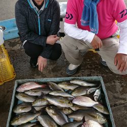 明神釣船 釣果