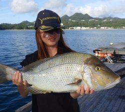 本部釣りイカダ 釣果