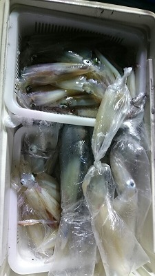 海龍丸（福岡） 釣果