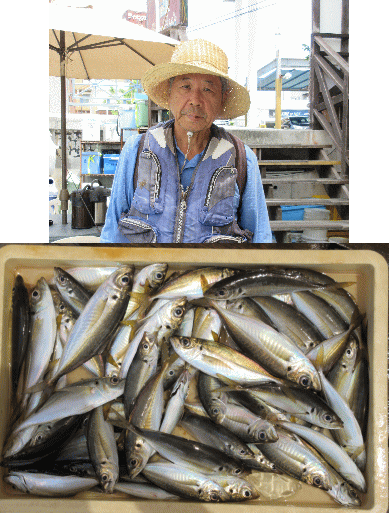 荒川屋 釣果