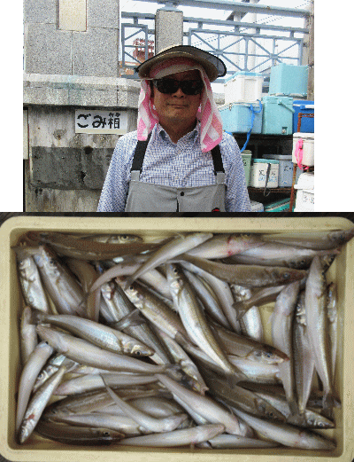 荒川屋 釣果