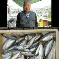 荒川屋 釣果