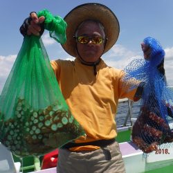 川崎丸 釣果