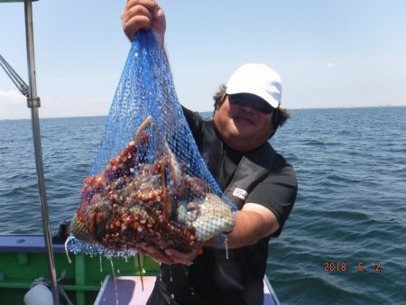 川崎丸 釣果