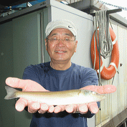 荒川屋 釣果