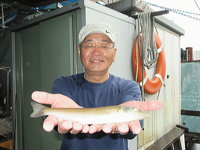 荒川屋 釣果