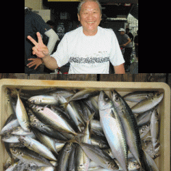 荒川屋 釣果