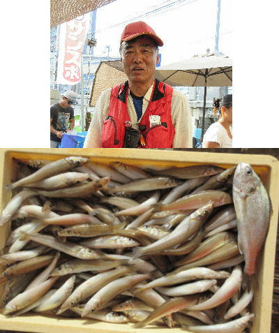 荒川屋 釣果