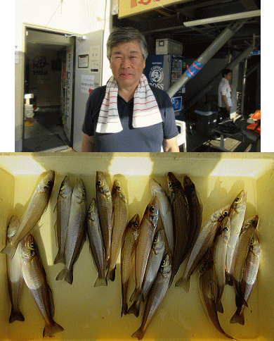 荒川屋 釣果