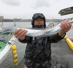 橋安丸 釣果