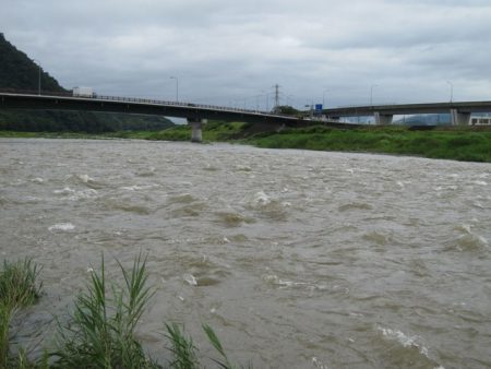 狩野川（狩野川漁業協同組合） 釣果