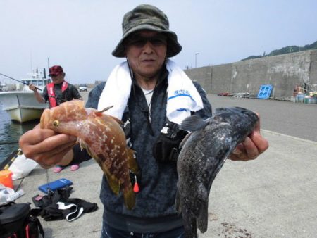 大進丸（新潟） 釣果