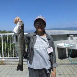 尼崎市立魚つり公園 釣果