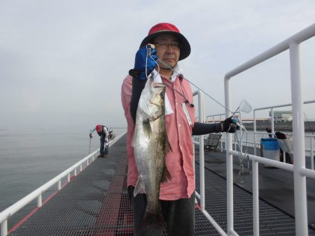 尼崎市立魚つり公園 釣果