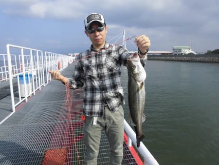 尼崎市立魚つり公園 釣果