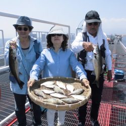 尼崎市立魚つり公園 釣果