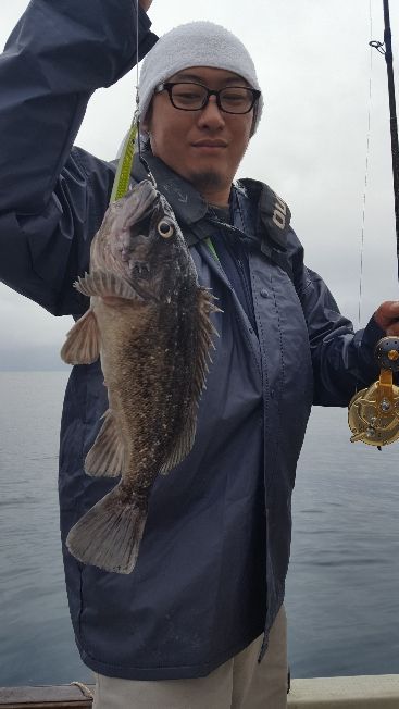 海峰 釣果