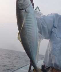 松福丸 釣果