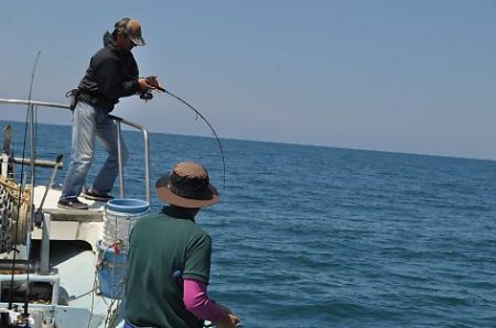 八海丸 釣果