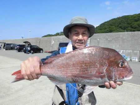 大進丸（新潟） 釣果