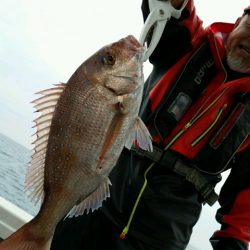 つれ鷹丸 釣果