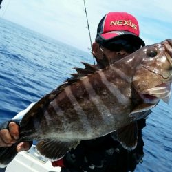 つれ鷹丸 釣果