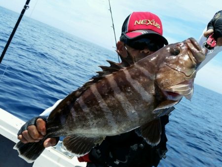 つれ鷹丸 釣果