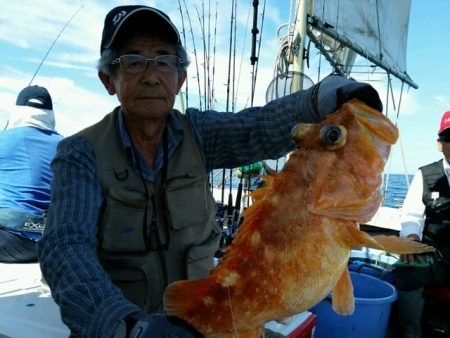 つれ鷹丸 釣果