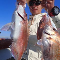 美里丸 釣果