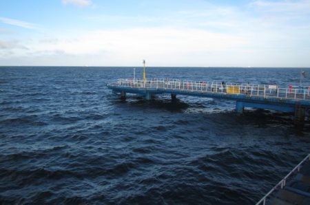 オリジナルメーカー海づり公園(市原市海づり施設) 釣果