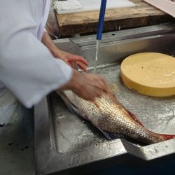 宝生丸 釣果