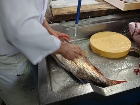 宝生丸 釣果