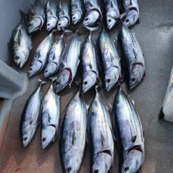 へいみつ丸 釣果