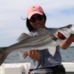 クルーズ 釣果