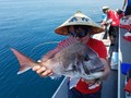 里輝丸 釣果