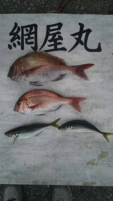 網屋丸 釣果