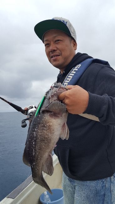 海峰 釣果