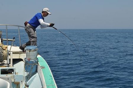 八海丸 釣果