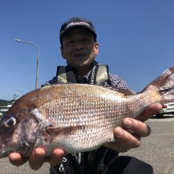 由良渡船 釣果