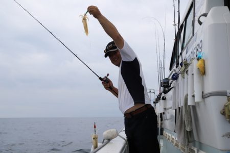 クルーズ 釣果