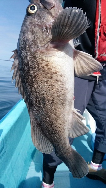 宝昌丸 釣果