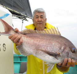 なかくに丸 釣果