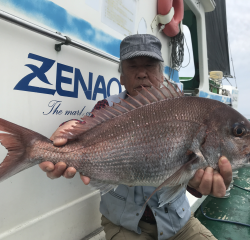 なかくに丸 釣果