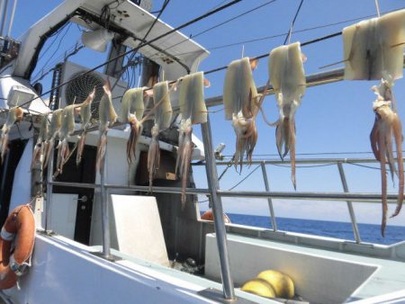 大進丸（愛知） 釣果