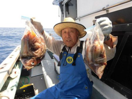 大進丸（愛知） 釣果