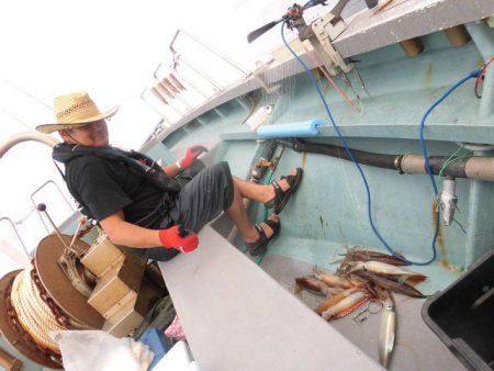 大進丸（愛知） 釣果