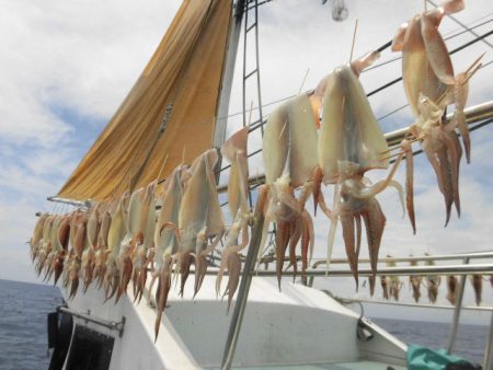 大進丸（愛知） 釣果