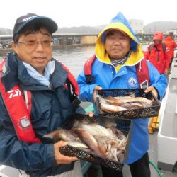 大進丸（愛知） 釣果