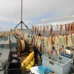 大進丸（愛知） 釣果