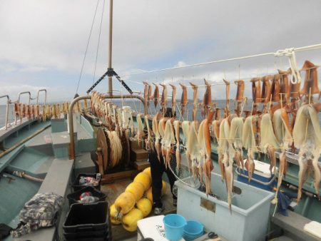 大進丸（愛知） 釣果